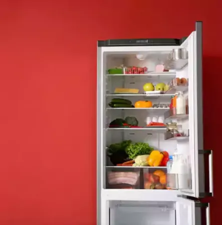 صورة لقسم Mini Refrigerator
